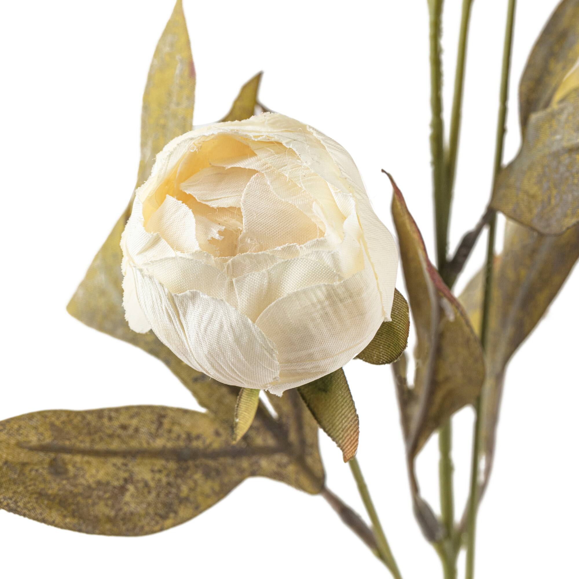 Cream Peony Stem by Ashland®